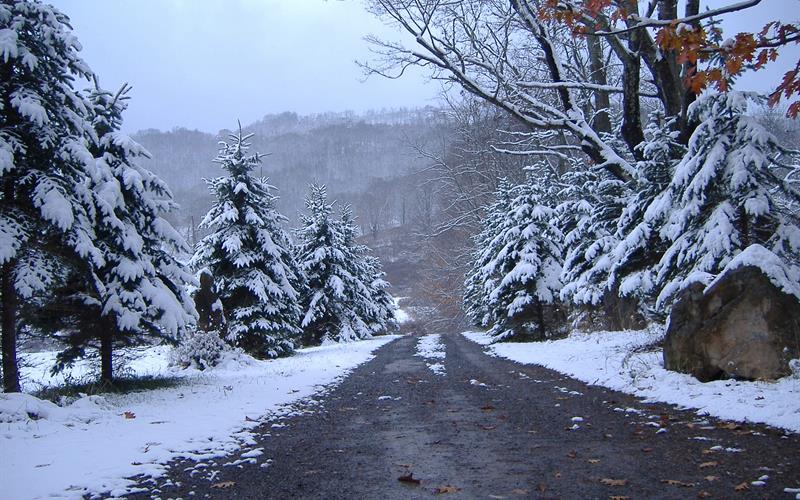 Winter at Snowshoe Farms